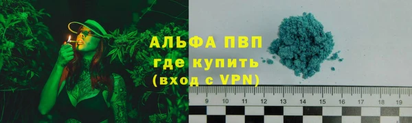 гашик Вязьма