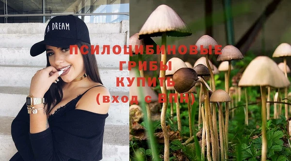ECSTASY Заволжье