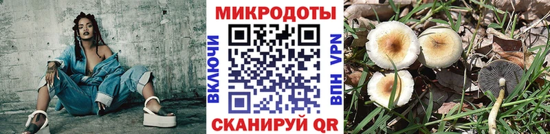 гидра как войти  закладка  Красный Холм  Псилоцибиновые грибы Psilocybine cubensis 